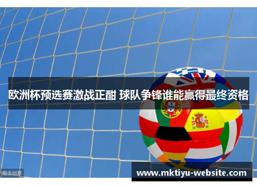 欧洲杯预选赛激战正酣 球队争锋谁能赢得最终资格