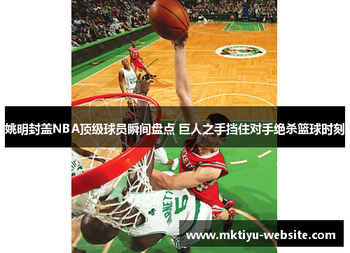 姚明封盖NBA顶级球员瞬间盘点 巨人之手挡住对手绝杀篮球时刻