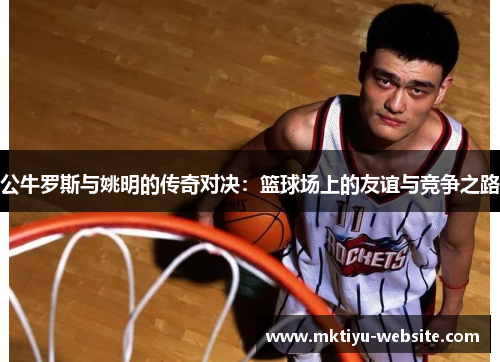 公牛罗斯与姚明的传奇对决：篮球场上的友谊与竞争之路